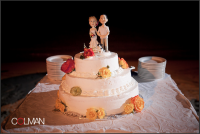Wedding cake.png