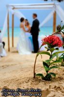 Beach wedding at Sandos Playacar, Mexico.