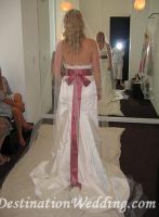 Back of dress with veil