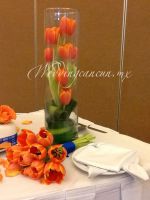 tulips inside cylinder centerpiece