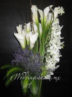 combination of limonium, Mexican calla lilies and dendrobium orchids