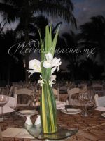 White iris and dendrobium orchids centerpiece