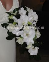 combination of dendroobium orchids, phaleanopsis orchids and lisianthus