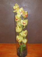 deluxe yellow cymbidium orchid wedding centerpiece